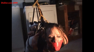 www.dizdat.com - 1377 Stacey thumbnail